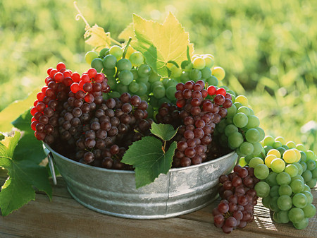 Efficacy and Effects of Grapes